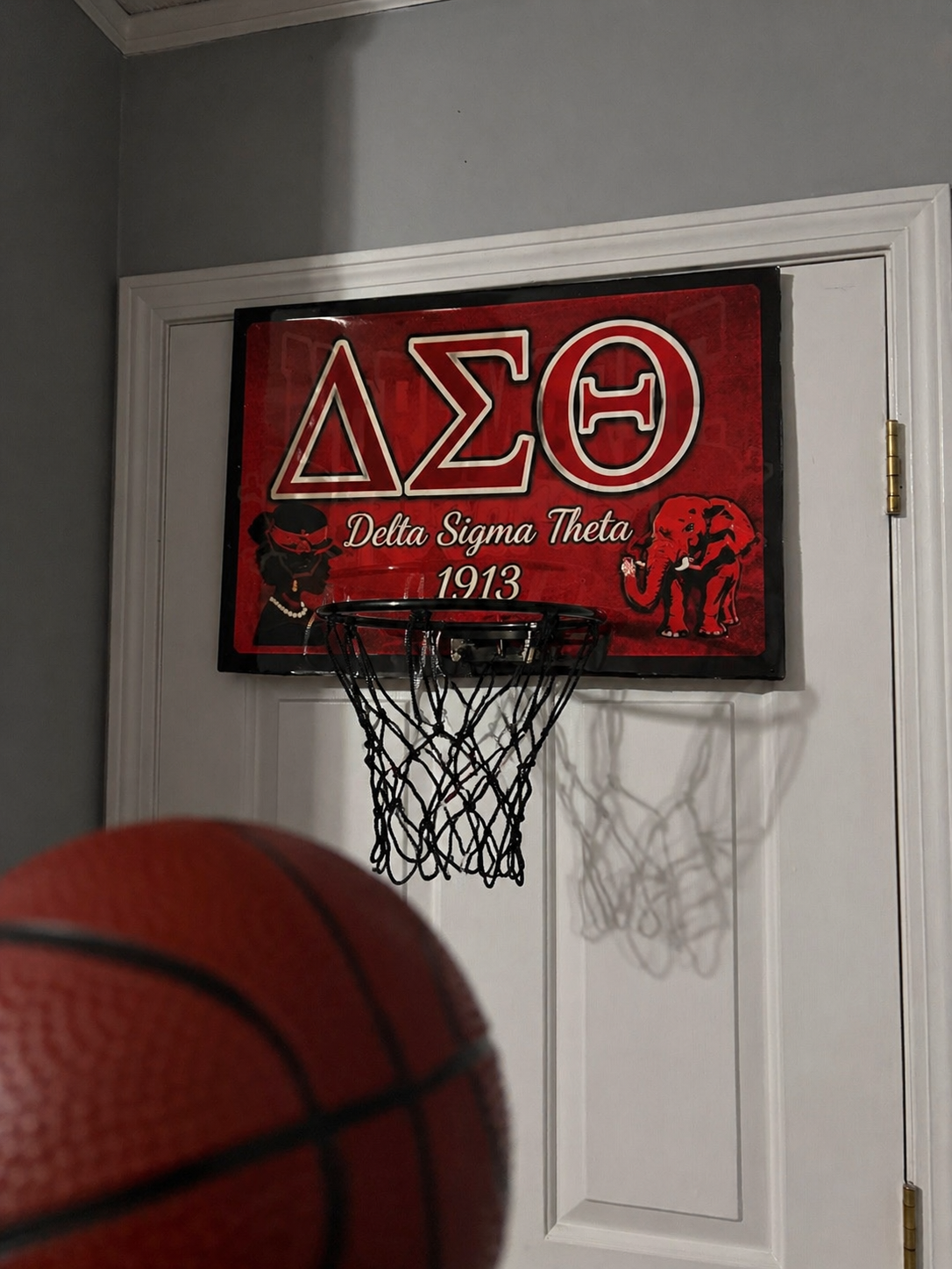 DELTA MINI HOOP